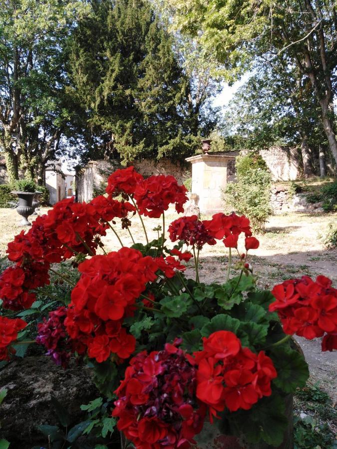 Apchat Chateau De Perpezat מראה חיצוני תמונה